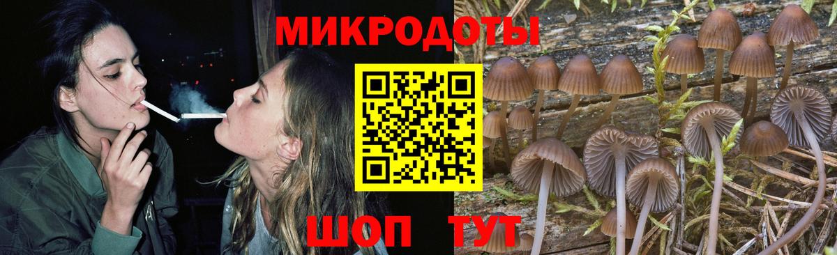 Кизляр  Галлюциногенные грибы мухоморы  Вход с VPN 
